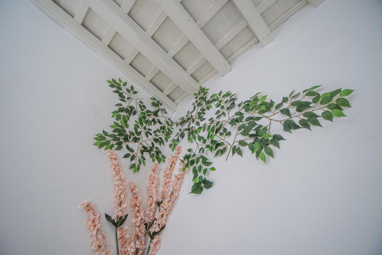 Apartamento El Cobijo De 카디스 외부 사진